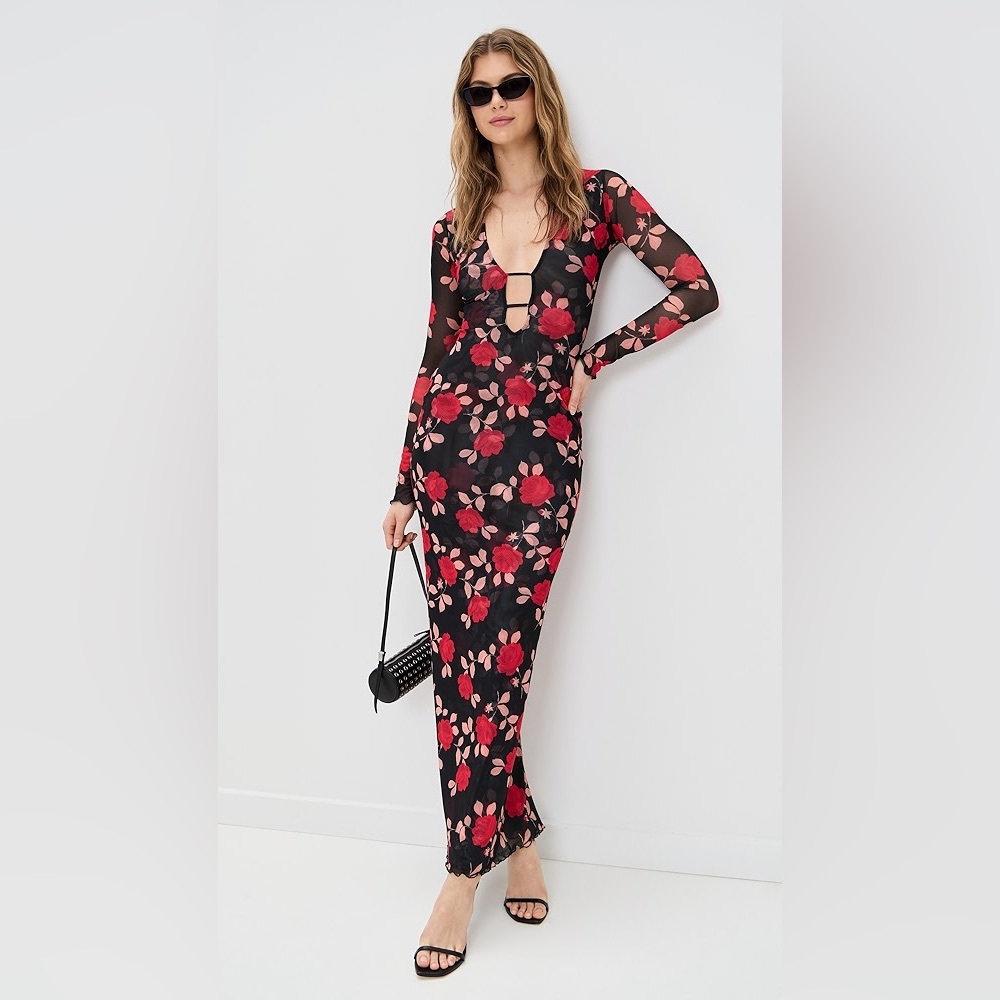 NWT RESA Esme Floral Mesh Maxi Long Sleeve Deep V Gown Red and Black Dress XS
